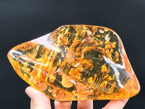 Sold Price Amber Fossil Natural Collectible Specimen June 2