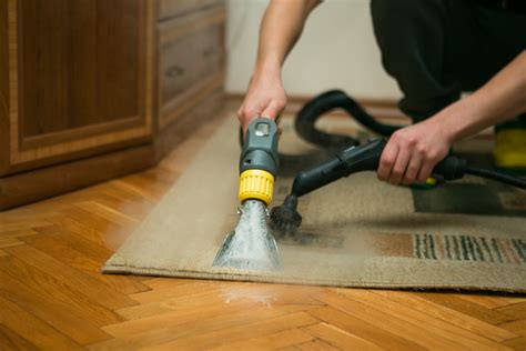 10 Advantages Of Commercial Carpet Cleaning Cleanasaurus