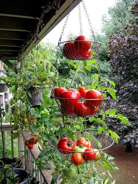35 Incredible Hanging Garden Ideas For Space Saving