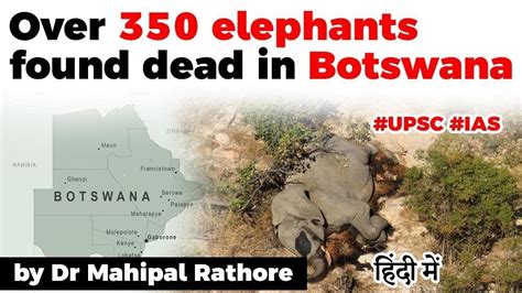 Botswana Mass Elephant Deaths Over 350 Dead Elephants Found In Okavango Delta Current Affairs