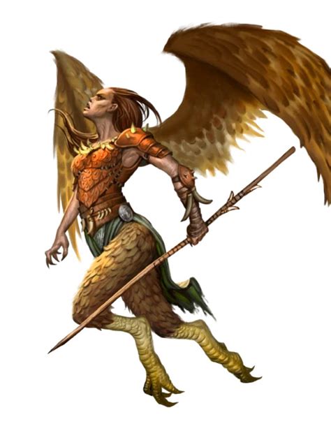 Female Harpy Ranger Or Hunter Pathfinder Pfrpg Dnd Dandd 35 5e 5th Ed D20 Fantasy Fantasy