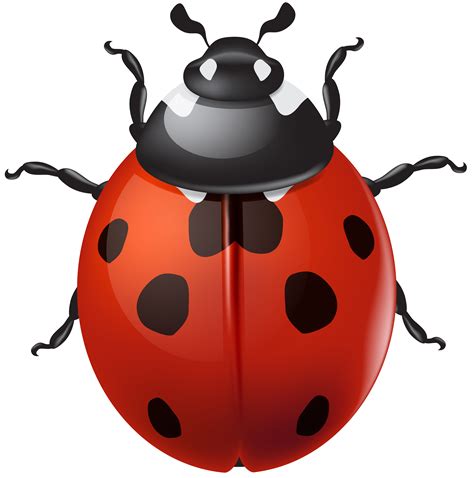 Ladybird Png Clip Art Gallery Yopriceville High Quality Images And