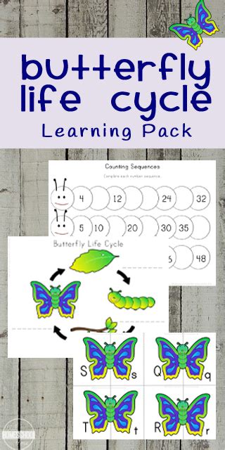 Free Butterfly Life Cycle Learning Pack