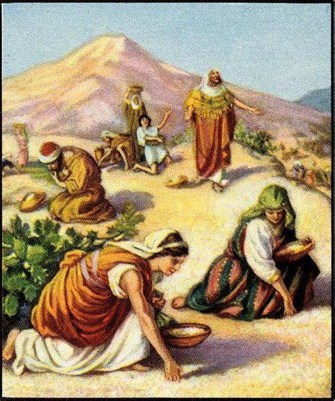 Workers For Jesus Online Bible Study Exodus 161 36 Manna