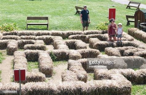 Hay Bale Maze Photos And Premium High Res Pictures Getty Images