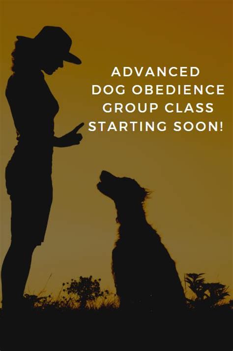 New Session Of Advanced Dog Obedience Group Class City Of Pittsburg