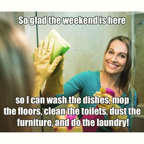 Jokes About Cleaning The House Freeloljokes