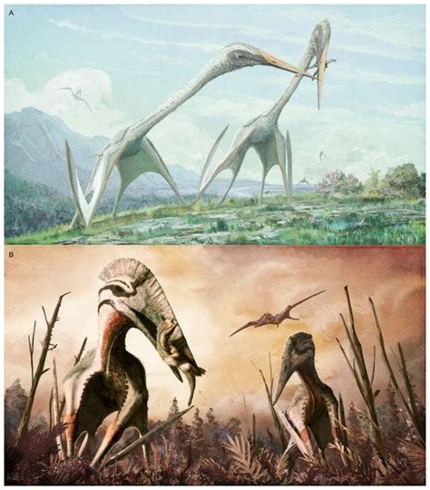 Fossils Of Giant Pterosaurs Found In Transylvania Rscience