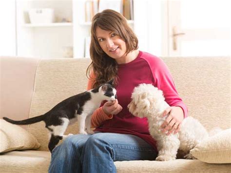 The practice of early age spay/neuter, which was endorsed by the american veterinary medical association (avma) in 2006, generally refers to dogs or cats which are at least two pounds and/ or two months of age at the time they are altered. What Age Should You Spay or Neuter Your Cat? | PetMD