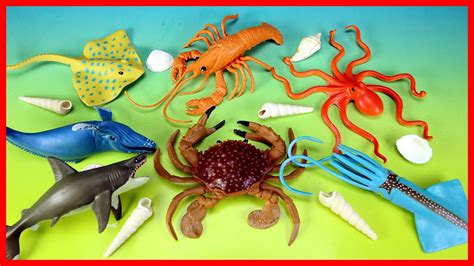 They happen to run faster than horses. Learn Sea Animals Names and Facts - Water Animals For Kids ...