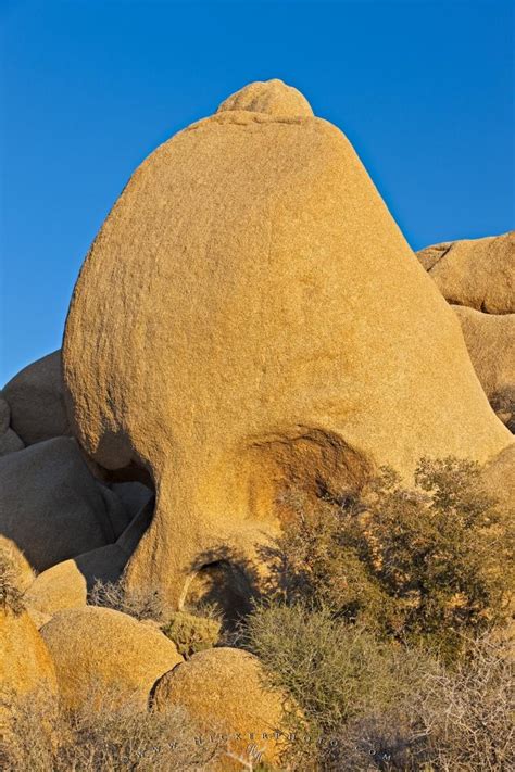 Skull Rock Joshua Tree National Park Photo Information