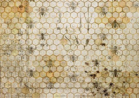 The Honeycomb Rice Paper By Decoupage Queen Bees Rice Paper Decoupage