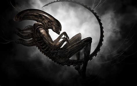 Cool Xenomorph Wallpapers Top Free Cool Xenomorph Backgrounds