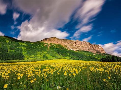 Hd Wallpaper Butte Clouds Colorado Crested Flowers Meadow