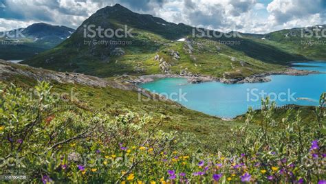 Summer Scenery In Jotunheimen National Park In Norway Stock Photo