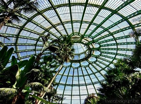 Ultimate Guide To The Royal Greenhouses Of Laeken 2020 Live In