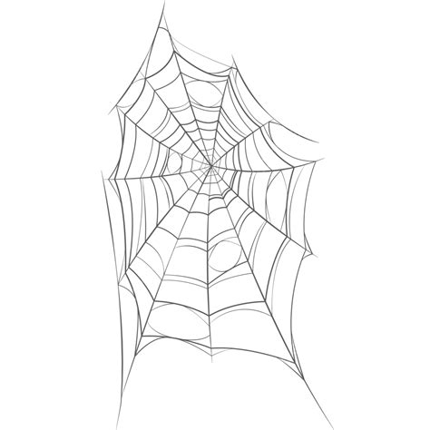 Cobweb Spider Web Net Grunge Vector Cobweb Drawing Spider Drawing