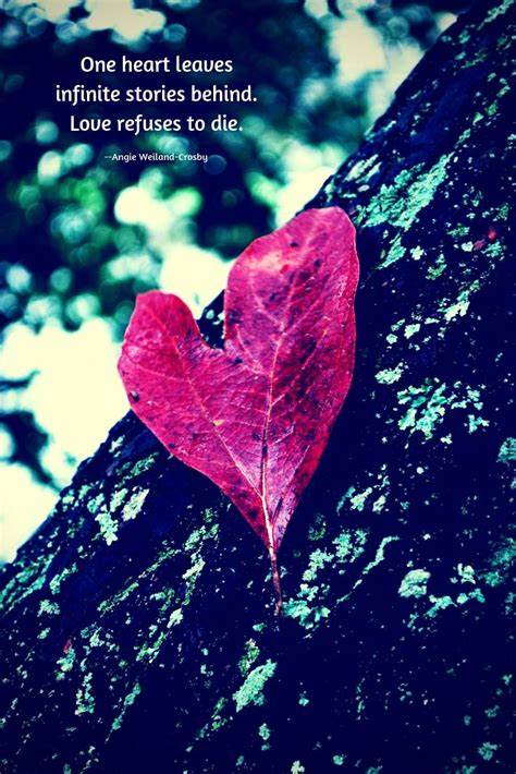Soulful Love Quote With Red Heart Shaped Leaf Quotes Love