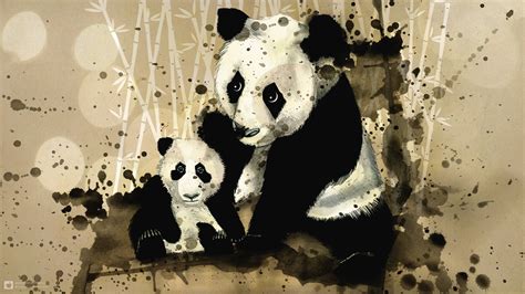 Panda Hd Wallpaper Background Image 2560x1440 Id205827