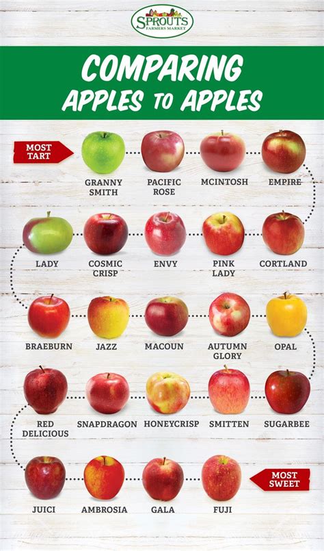 The Great Apple Harvest Best Apple Recipes Food Facts Apple Recipes