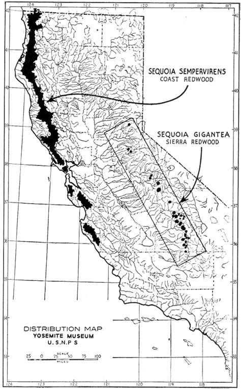 Sequoia Trees In California Map Oakland Zoning Map