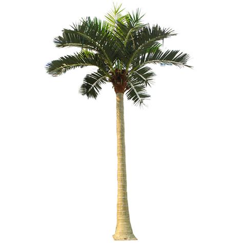 Wind Resistant Artificial Outdoor Decorative Plastic Coconut Palm Trees