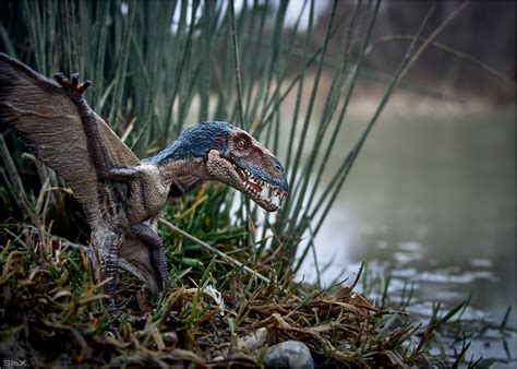 Dimorphodon era uno pterosauro di medie dimensioni, vissuto nei primi del periodo giurassico. Dimorphodon an der Pfütze Foto & Bild | outdoor, wasser ...