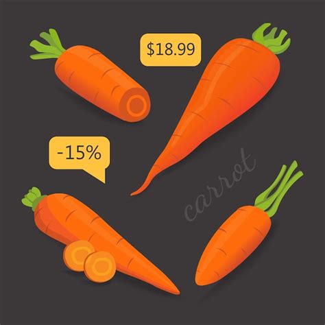 Premium Vector Set Carrot Vector Illustration Sliced Fresh Carrot