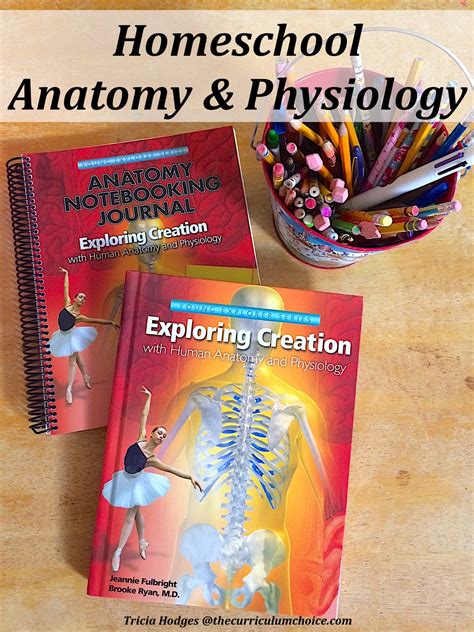 They also focus particularly on how the body's regions, important chemicals, and. Homeschool Anatomy and Physiology - The Curriculum Choice