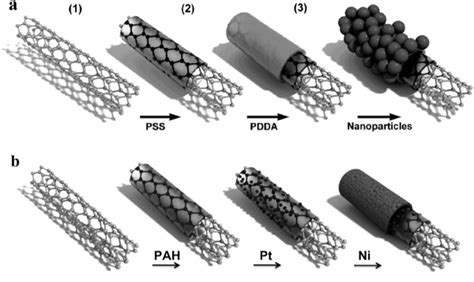 Magnetic Properties Of Nanowires Guided By Carbon Nanotubes Intechopen
