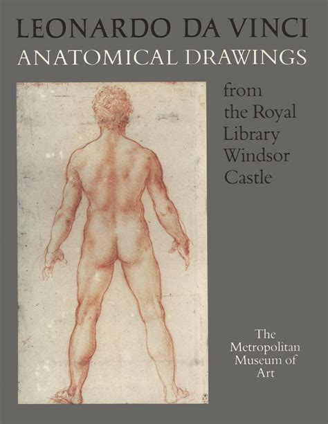 Leonardo Da Vinci Anatomical Drawings From The Royal Library Windsor