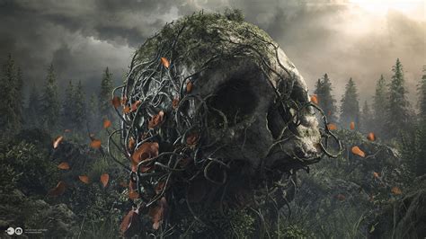4578448 Branch Nature Trees Overgrown Desktopography Skull Rare