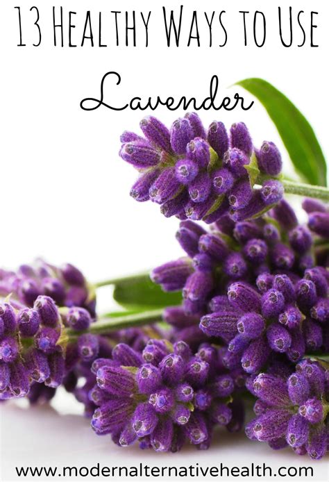 13 Ways To Use Lavender