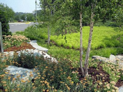 Rainer writes the perfect reasons why landscape design is so important. Beyond the Border Part 2: Massing Matters | Garden design ...