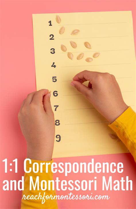 11 Correspondence In Montessori Math Explanation And Activity Ideas