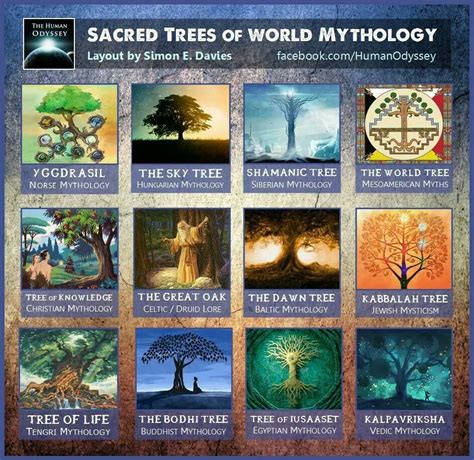 Sacred Trees World Mythology Sacred Tree Mythology