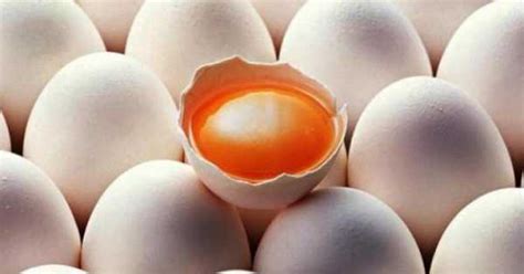 Mengenal Kandungan Nutrisi Dalam Telur Ayam