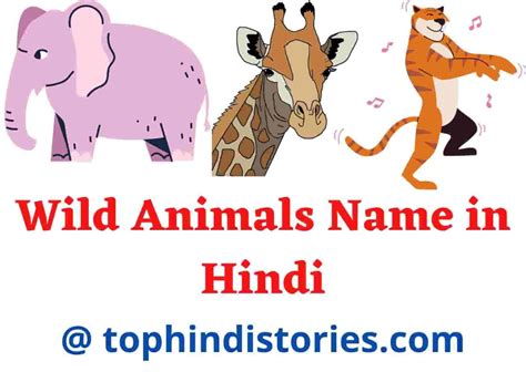 List Of 50 All Wild﻿ Animals﻿ Name﻿ In Hindi And English