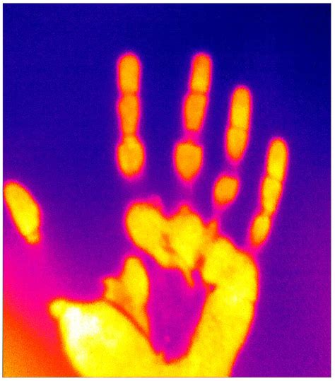 Infrared Thermal Imaging Ha Image Eurekalert Science News Releases