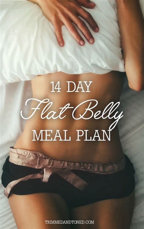 Full 14 Day Flat Belly Healthy Eating Meal Plan Flat Belly Healthy
