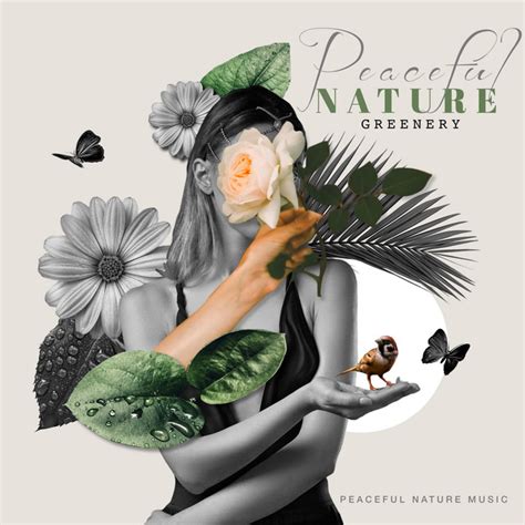 Peaceful Nature Greenery Album By Peaceful Nature Music Spotify