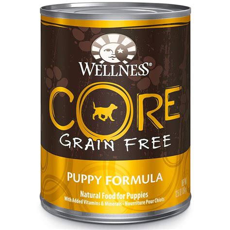 Wellness Core Natural Grain Free Wet Canned Dog Food Best Top Care