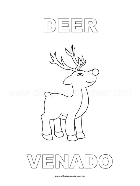 Dibujos Inglés Español Con V Venado Deer