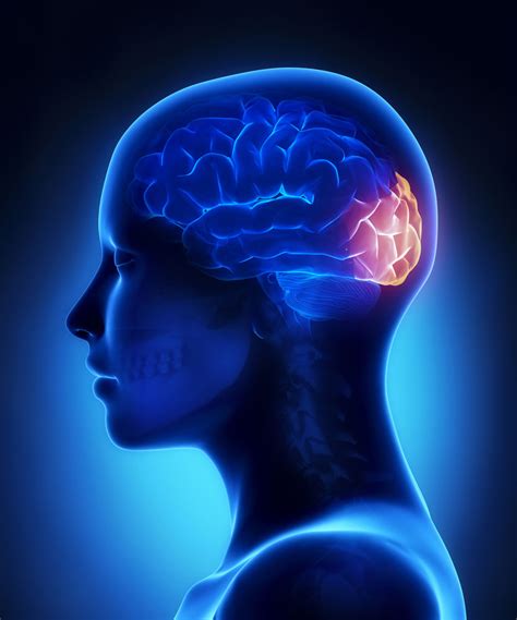 The human brain is the central organ of the human nervous system, and with the spinal cord makes up the central nervous system. Traumatic Brain Injury and Drug Use—A Closer Look