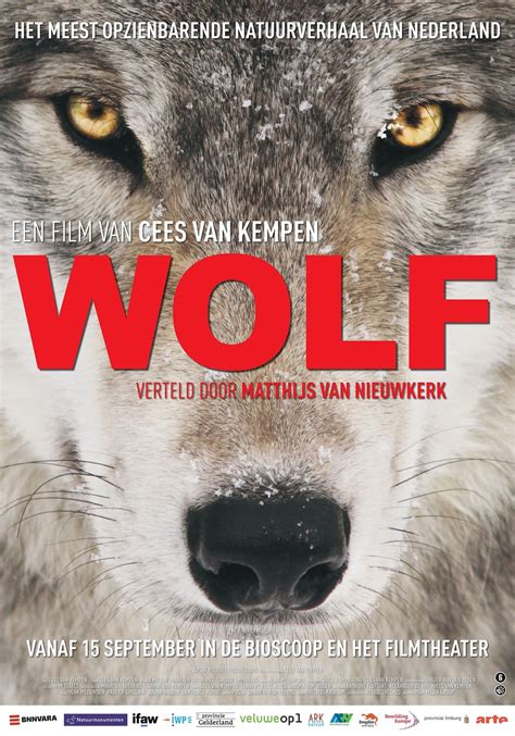 Wolf (película 2022) - Tráiler. resumen, reparto y dónde ver. Dirigida