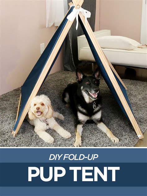 This Diy Pup Tent Folds Up For Easy Transport Diy Kids Tent Diy