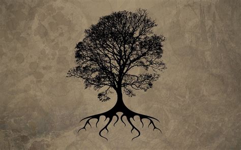 Tree Of Life Wallpapers Top Free Tree Of Life Backgrounds