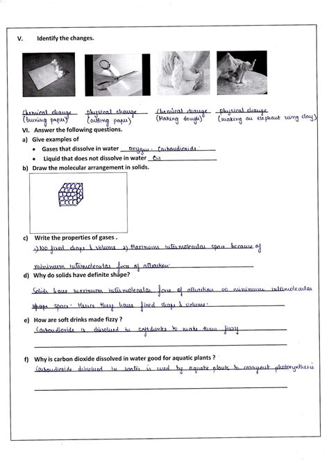 Science Worksheets For Grade 5 Light And Shadow Db Ex