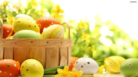 Free Download Free Wallpaper Easter Spring 5k Fruit Hd Wallpapers