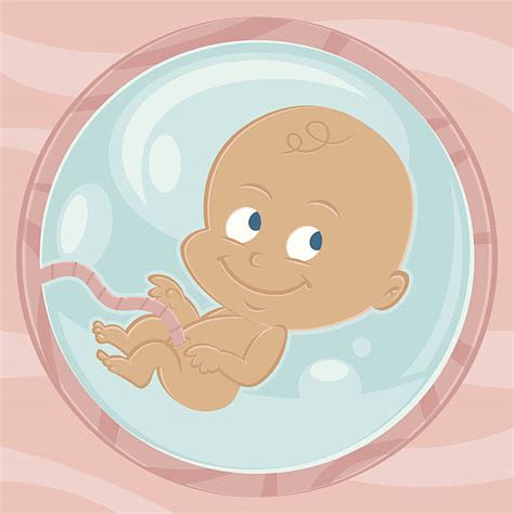 Royalty Free Baby In Womb Clip Art Vector Images And Illustrations Istock